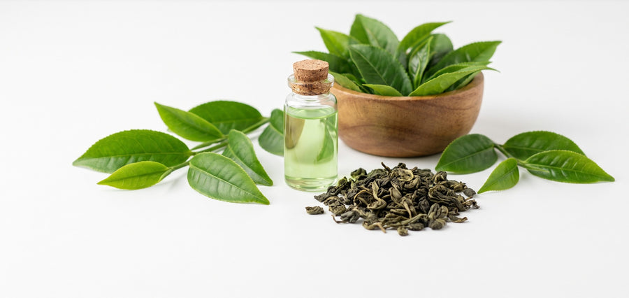 Green tea leaves and extract