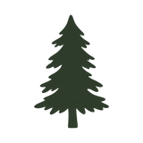 Made in the USA