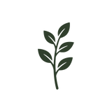 Melatonin With Four Plants