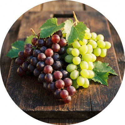 Resveratrol