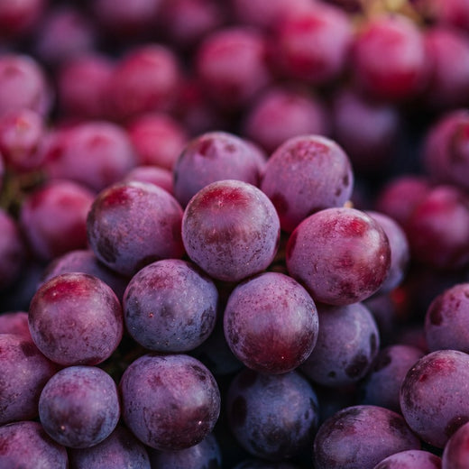 Resveratrol