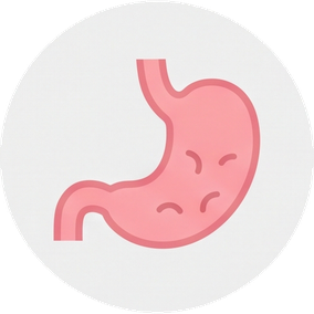 Supports Digestive Comfort*