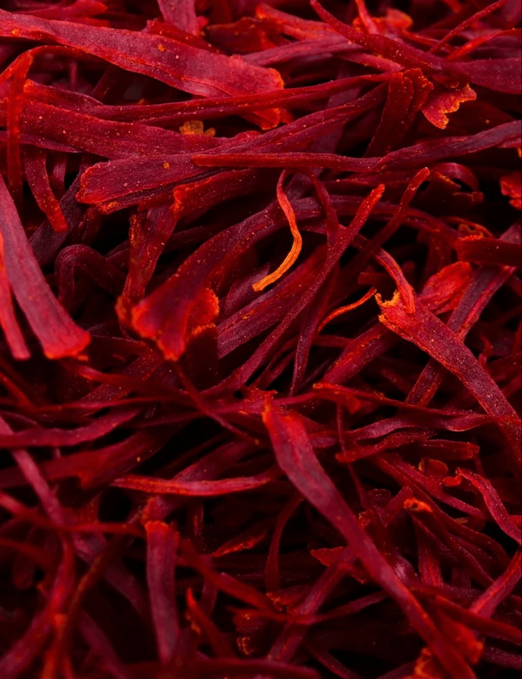 Close-up of red saffron threads