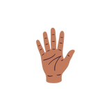 Skin, Nails, Joints & Bone