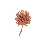 400 mg Red Clover