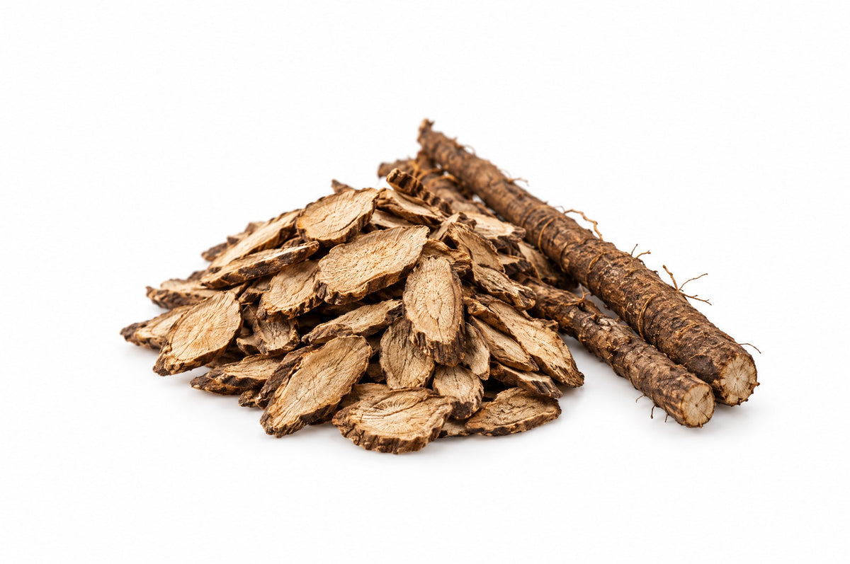 Burdock Root