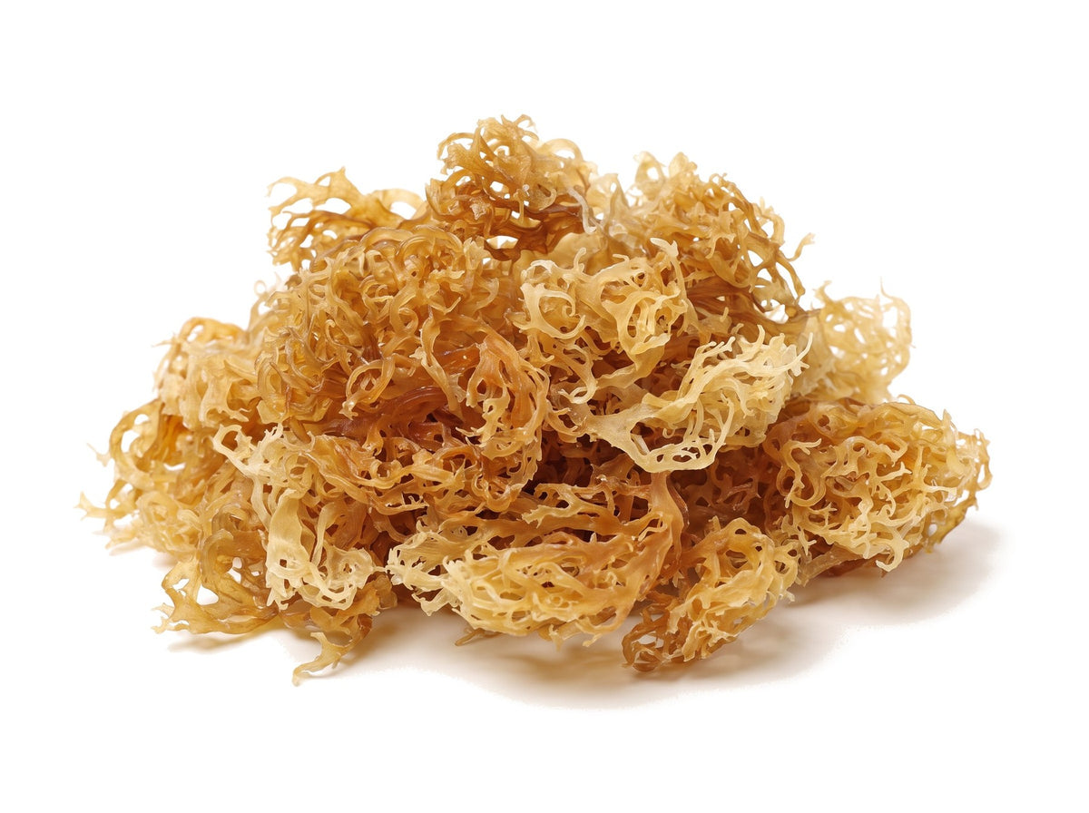 Irish Sea Moss