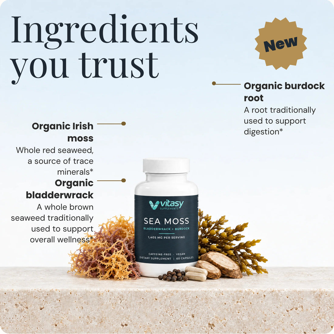 Ingredients you trust: Vitasy Sea Moss Capsules bottle with organic Irish moss, organic bladderwrack, organic burdock root and black pepper