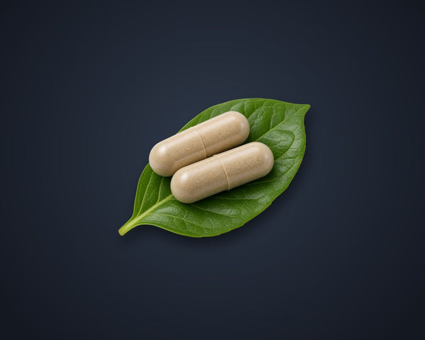 Plant-Based Capsule