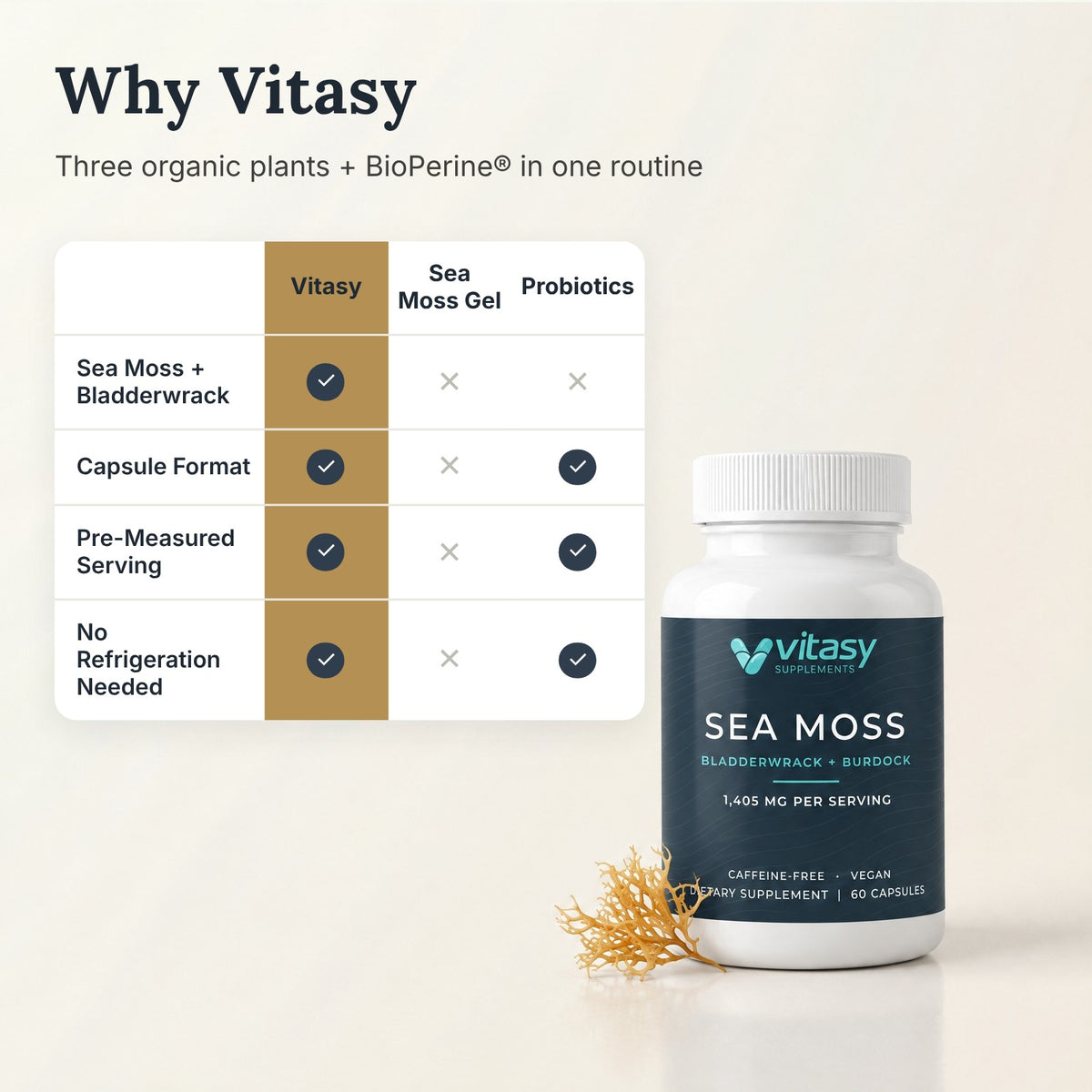 Why Vitasy: Sea Moss Capsules compared with sea moss gel and probiotics
