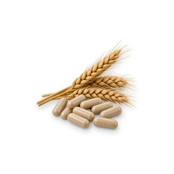 Gluten & Allergen Free