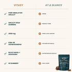 Shilajit Gummies v2.2 - 05 At a glance, six-row package summary