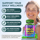 Sea Moss Gummies v4 - 02 Daily Wellness