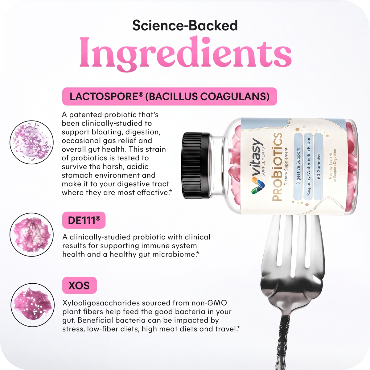 Probiotics Gummies v2 - 03 Ingredients