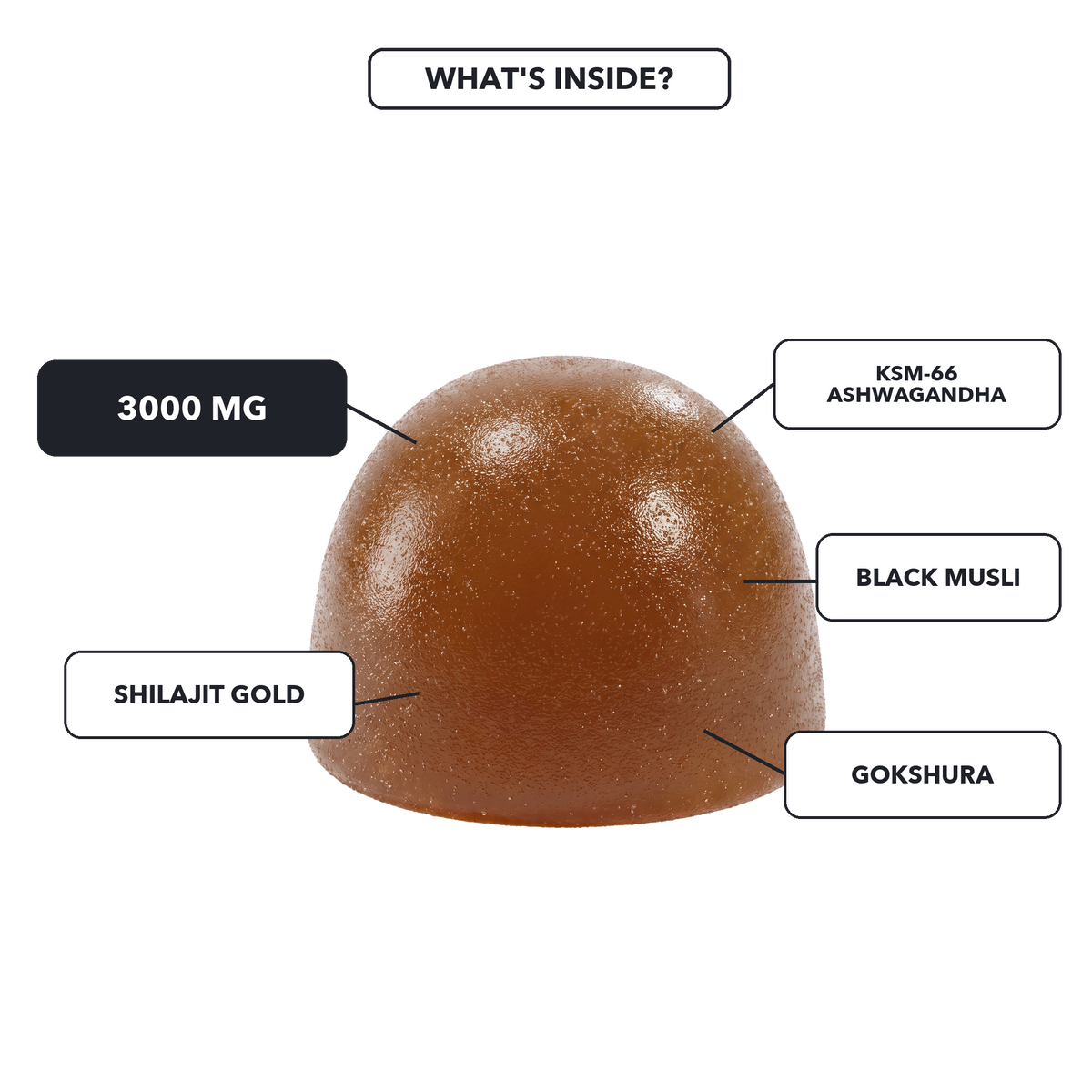 Shilajit Gummies v1 - 03 What'S Inside Gummy Callouts