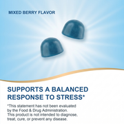 Ashwagandha Gummies - Stress Support That Tastes Good - 1500mg Equivalent Per Serving - 60 Gummies, Vegan & Gluten Free image 5