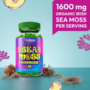 Sea Moss Gummies v3 - 07 1600Mg