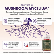 Mushroom Gummies v7 - Powered by mushroom mycelium