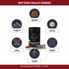 Shilajit Gummies v2 - 07 Product Summary - attached label cards