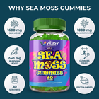 Sea Moss Gummies v4 - 08 Why Sea Moss