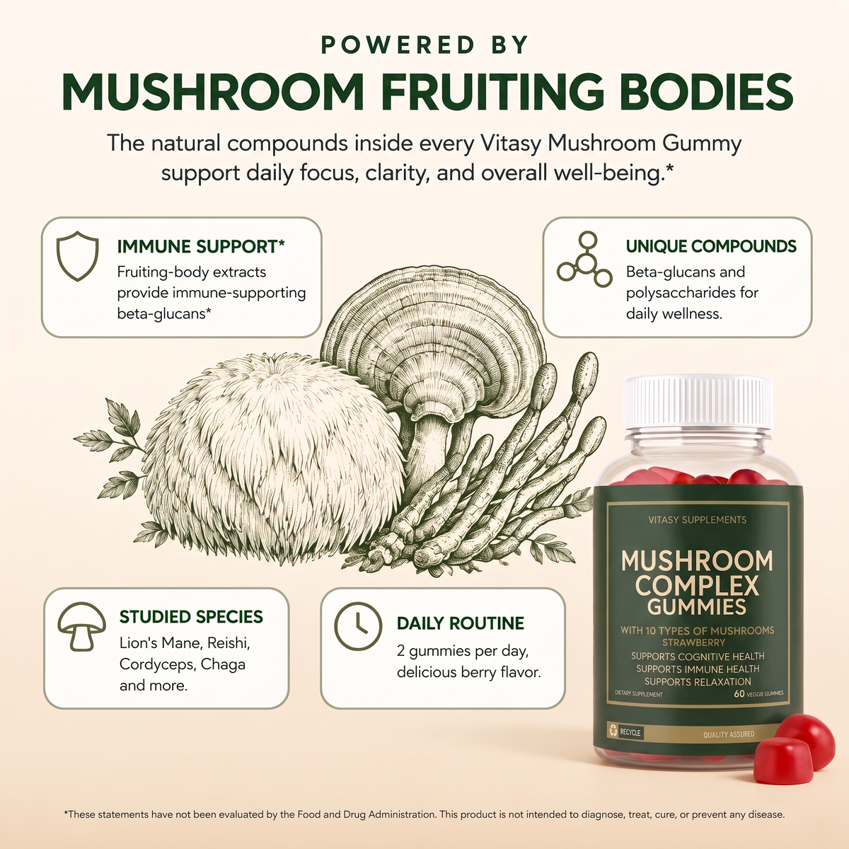 Mushroom Gummies v7 - Powered by mushroom fruiting bodies (brand style)