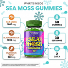 Sea Moss Gummies v4 - 11 Whats Inside