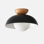 Ceiling Light | Dome Form