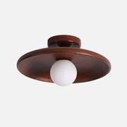 Ceiling Light | Disc Globe