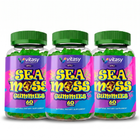 Sea Moss Gummies v4 - 15 Three Flavors
