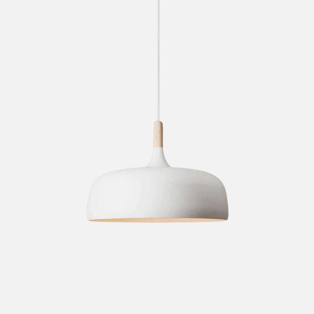 Pendant Light | Rounded Acorn Form