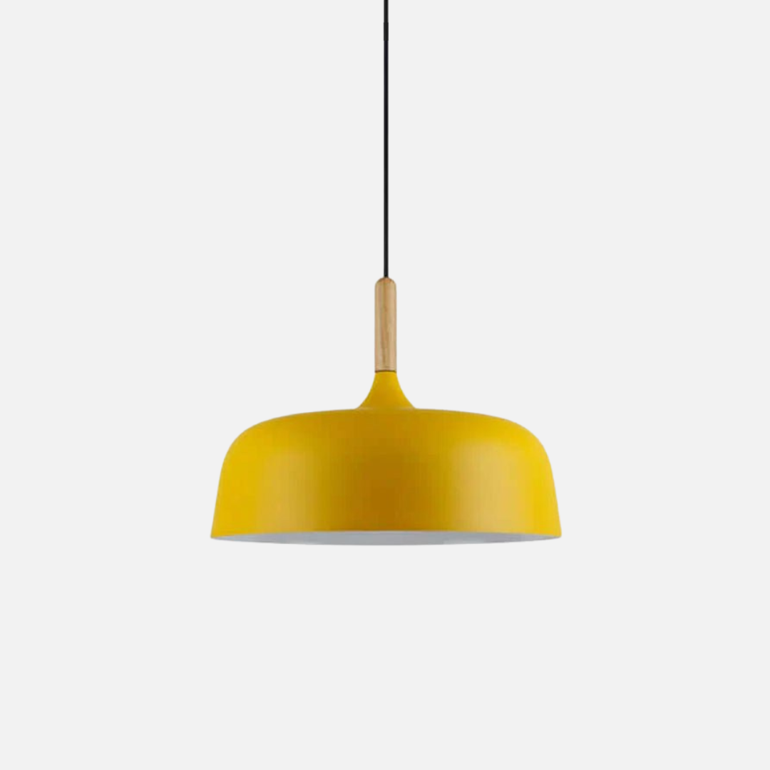 Pendant Light | Rounded Acorn Form