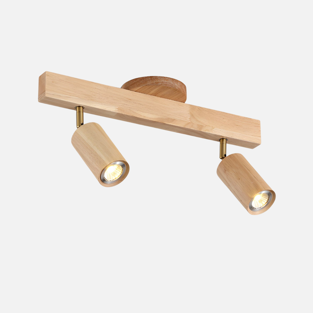 Ceiling Light | Linear Spotlight
