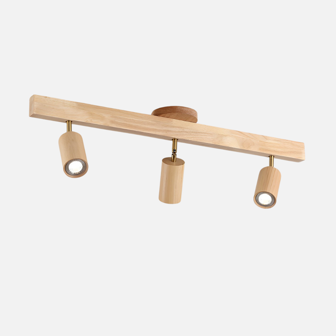 Ceiling Light | Linear Spotlight