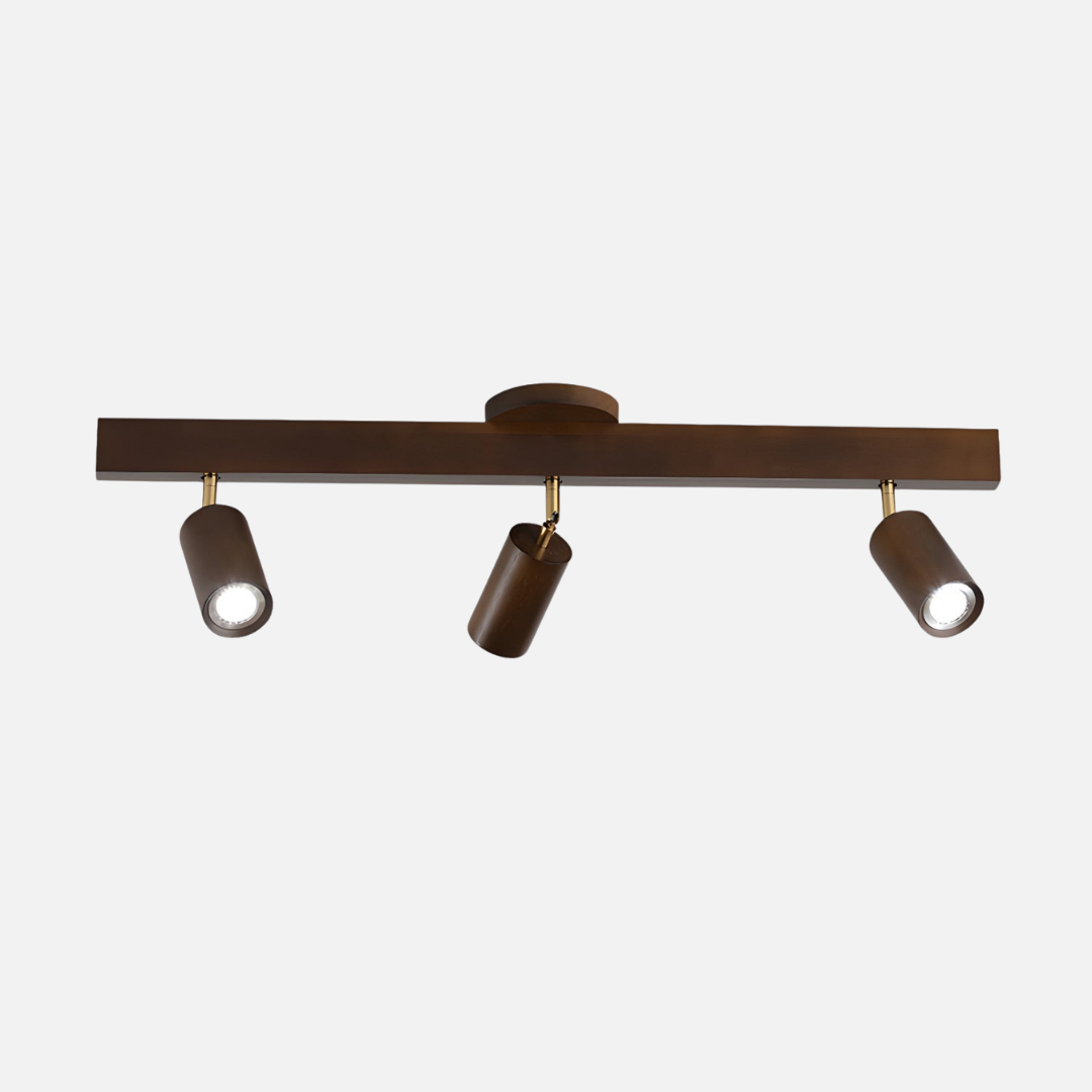 Ceiling Light | Linear Spotlight