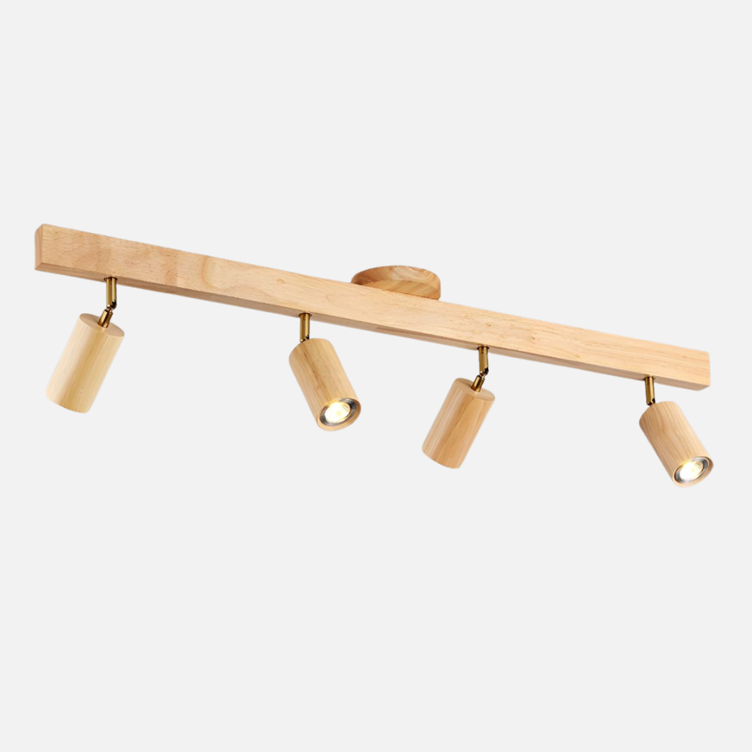 Ceiling Light | Linear Spotlight