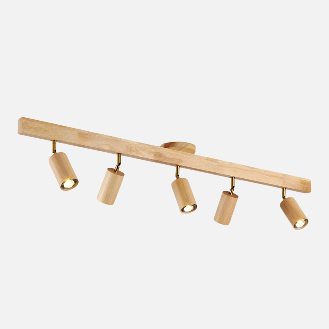 Ceiling Light | Linear Spotlight