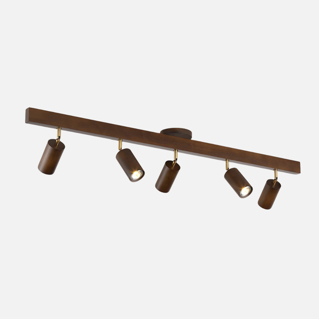 Ceiling Light | Linear Spotlight