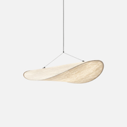 Pendant Light | Curved Shape Design