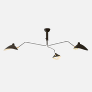Ceiling Light | Multi-arm Layout