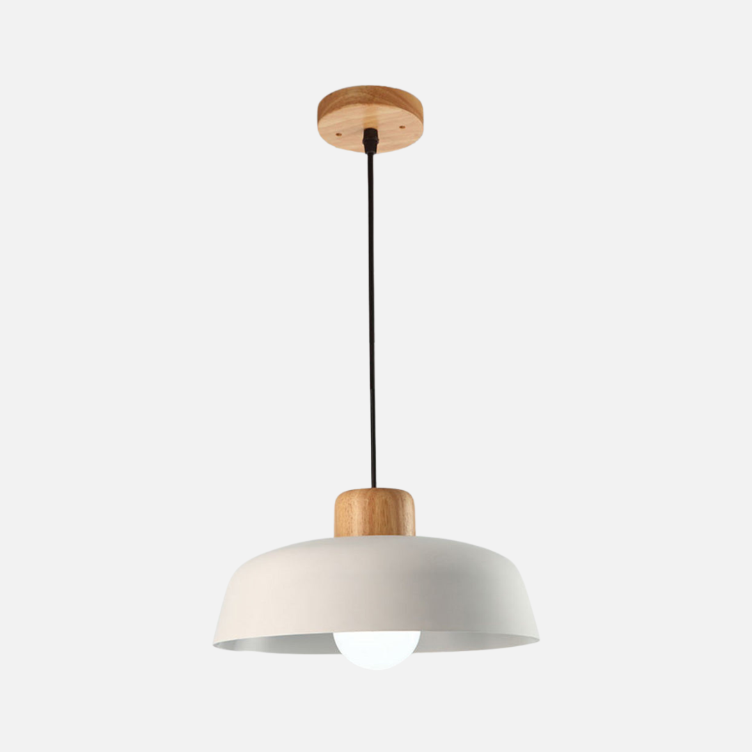 Pendant Light | Rounded Dome Shade