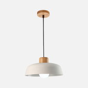 Pendant Light | Rounded Dome Shade