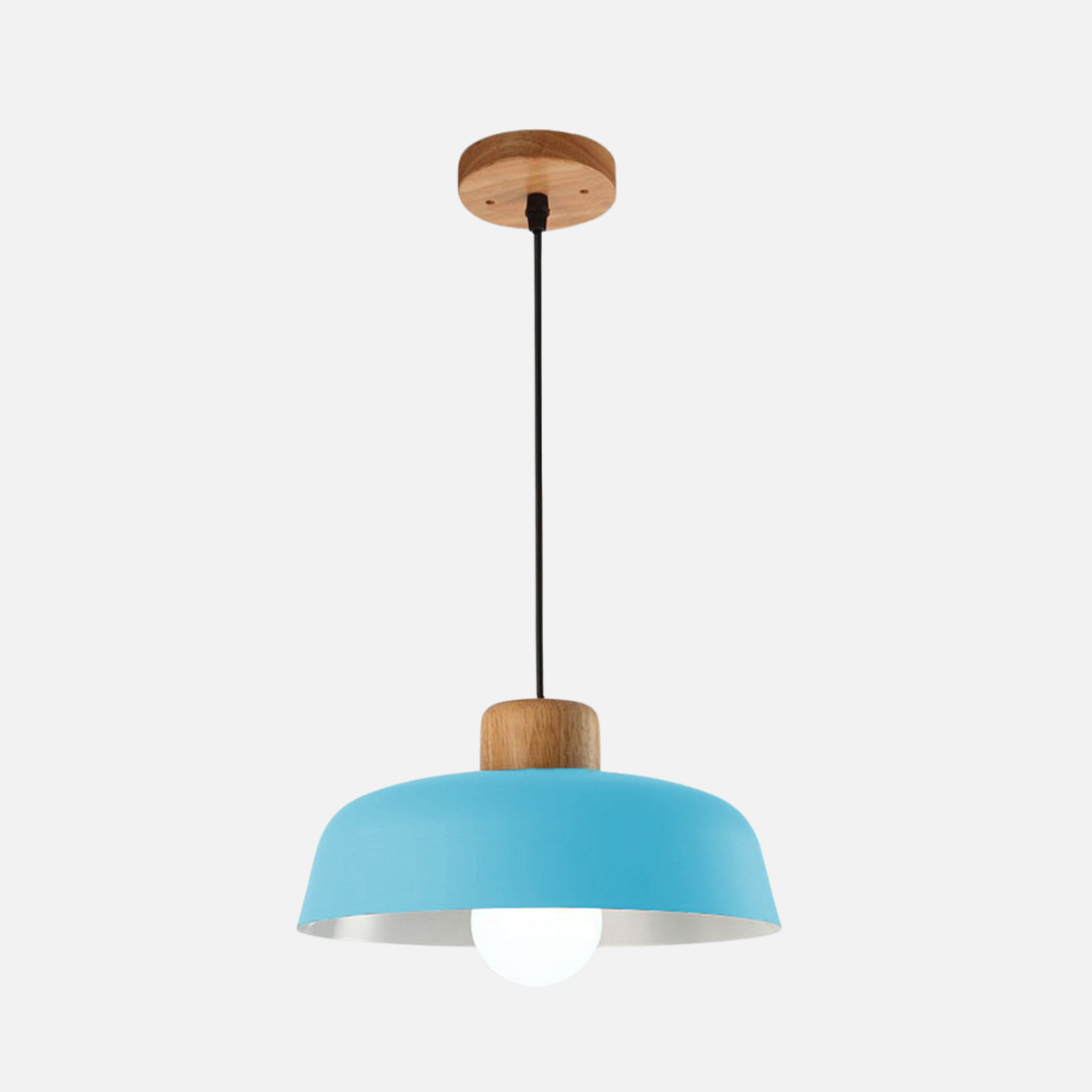 Pendant Light | Rounded Dome Shade