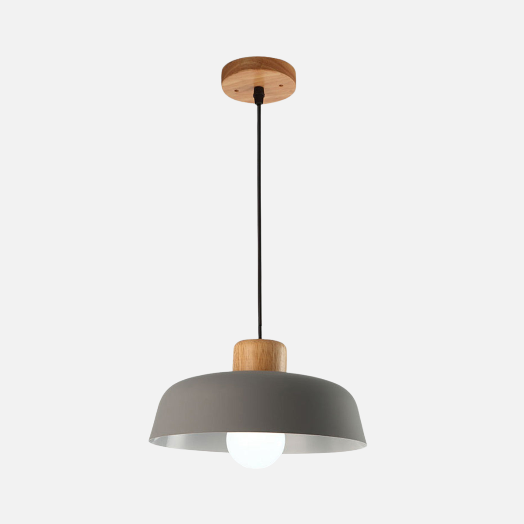 Pendant Light | Rounded Dome Shade