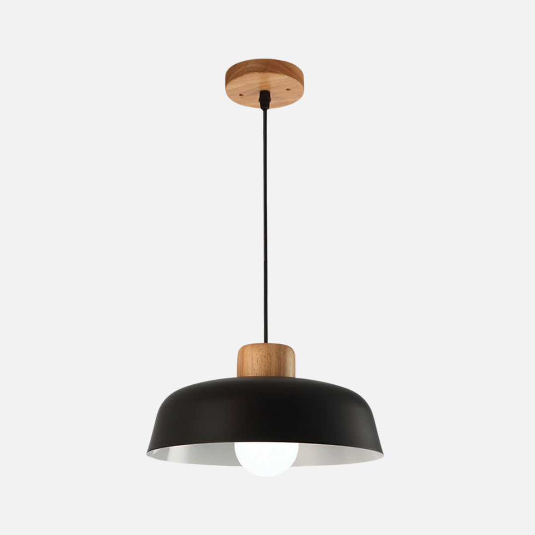 Pendant Light | Rounded Dome Shade