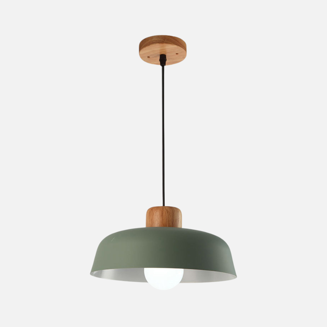 Pendant Light | Rounded Dome Shade