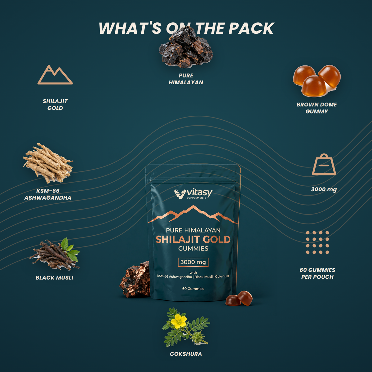 Shilajit Gummies v2.2 - 04 What's on the pack, eight front-label details