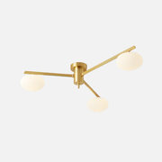 Ceiling Light | Modern Branch Arm Structure