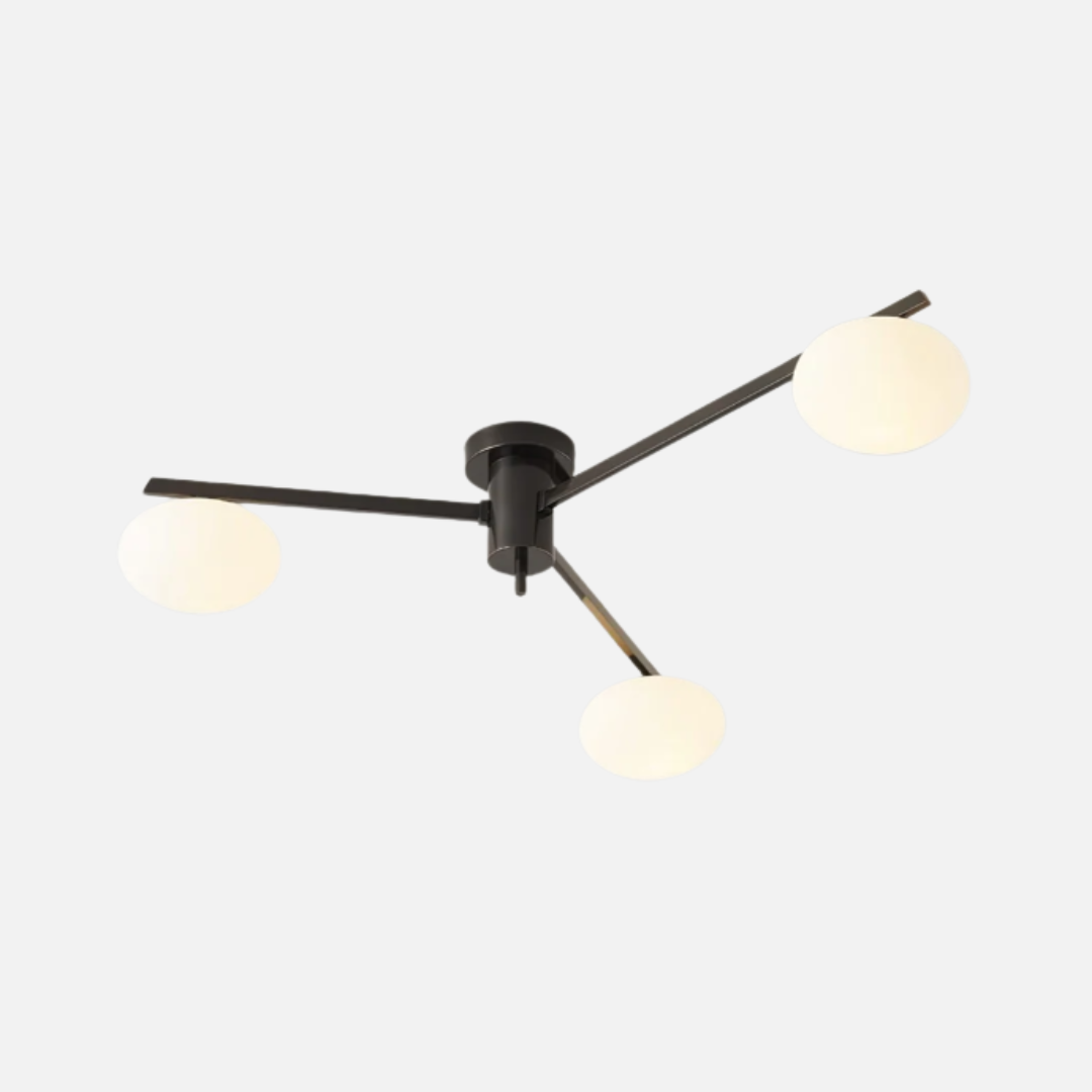 Ceiling Light | Modern Branch Arm Structure