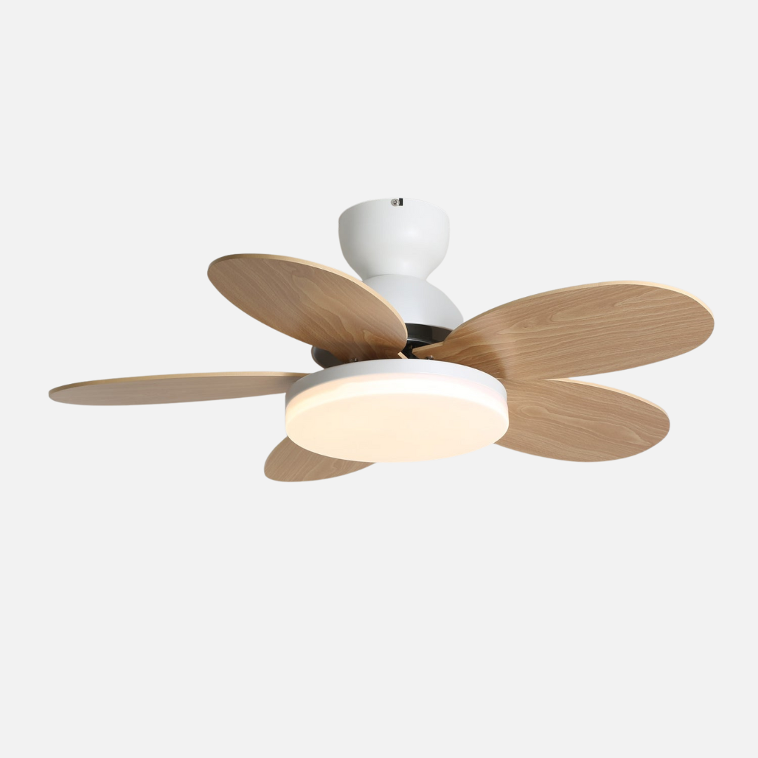 Ceiling Light | Petal Form Fan