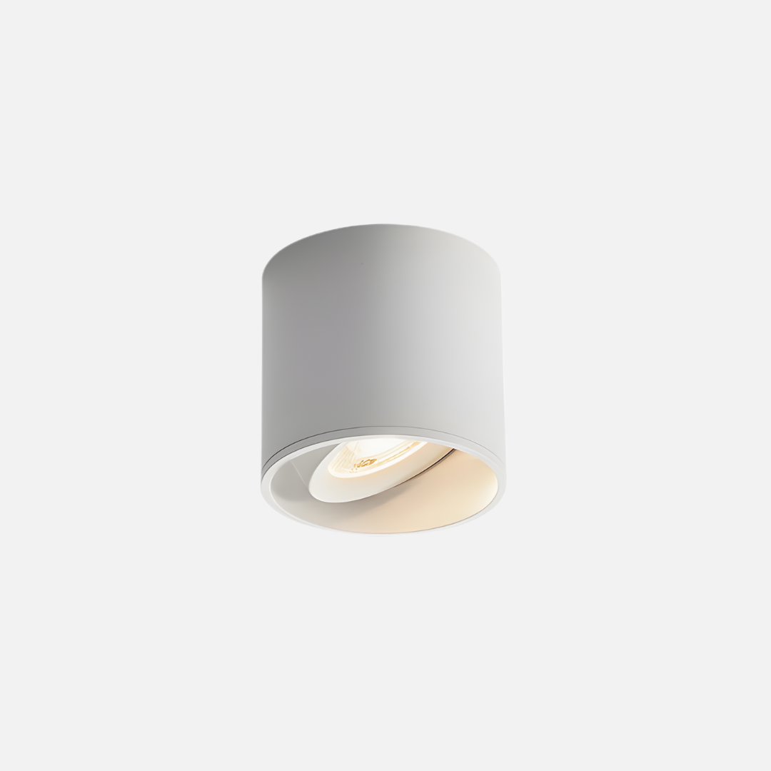 Ceiling Light | Adjustable Cylindrical Form